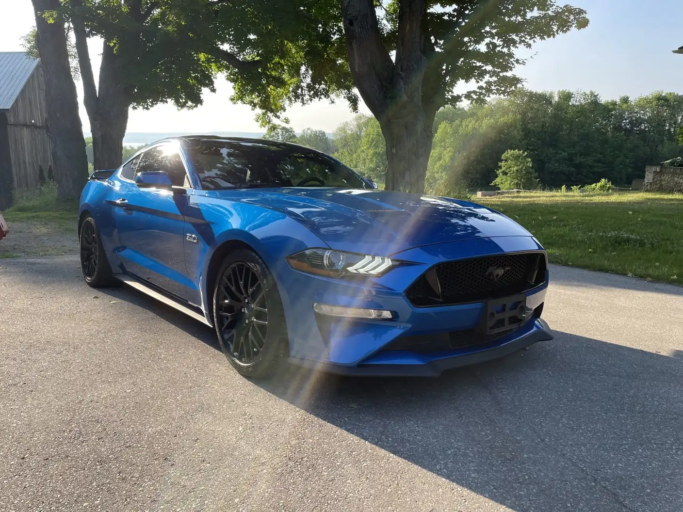 2020 Mustang GT after a ceramic coating by Precision Ceramics in Owen Sound