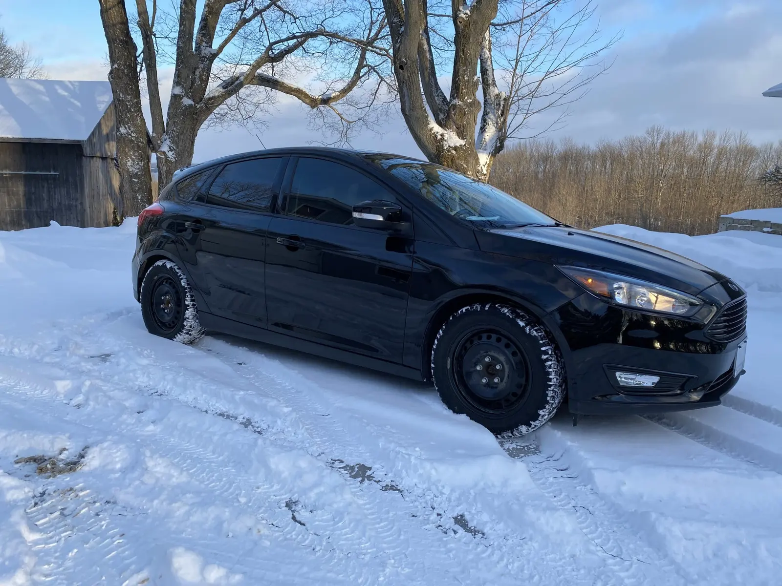 Ford Focus after a ceramic coating by Precision Ceramics in Owen Sound