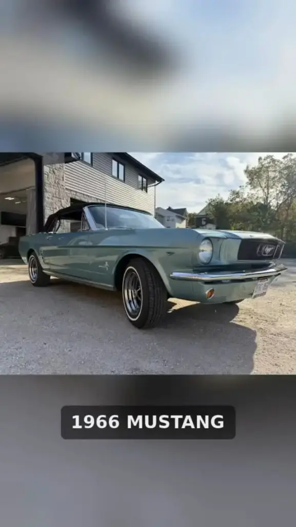 Precision Ceramics Reel: 1966 Mustang — 3-Stage Paint Correction